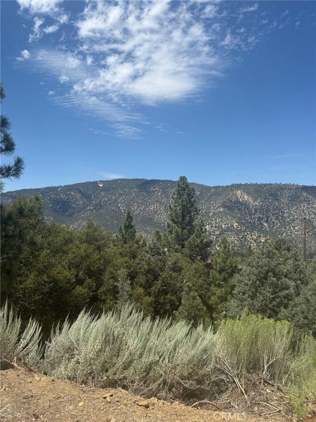 1824 Pioneer Way, Pine Mountain Club