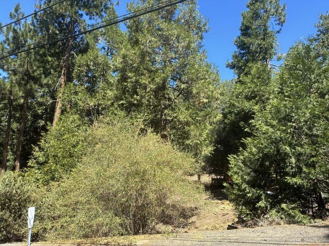 Acorn Lane, Idyllwild