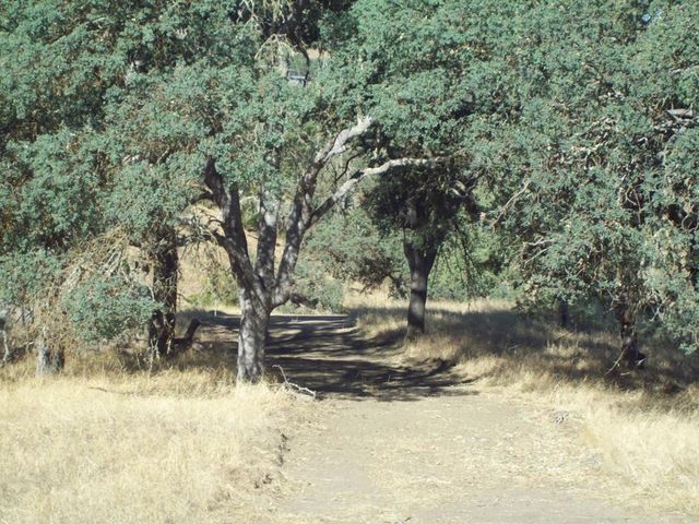 20077 Panoche, Tres Pinos