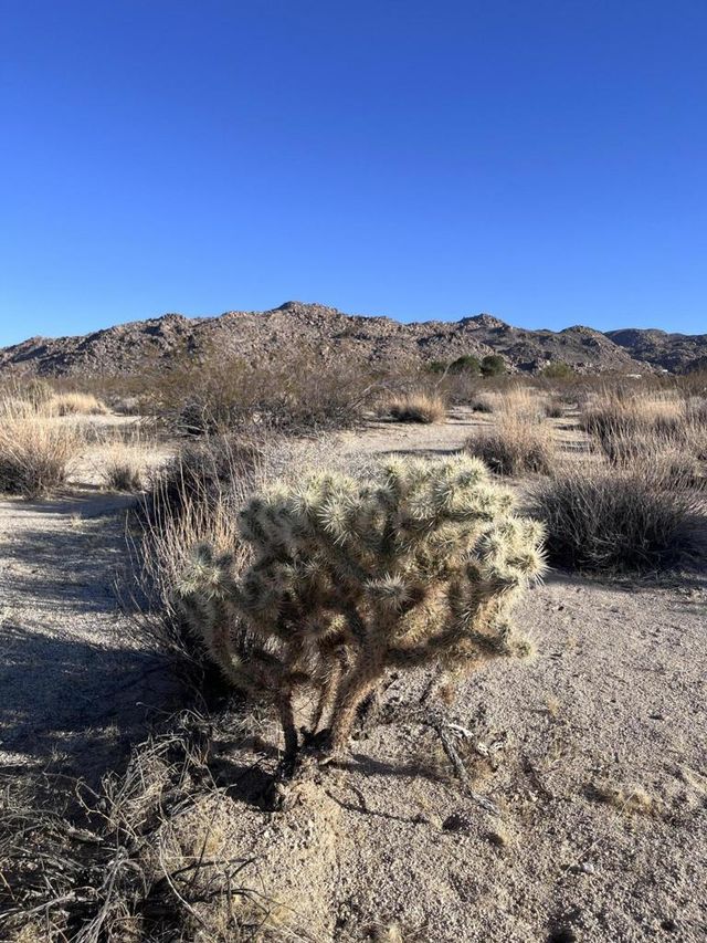 Lee Rd, 29 Palms