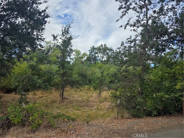 1217 Berry, Lakeport