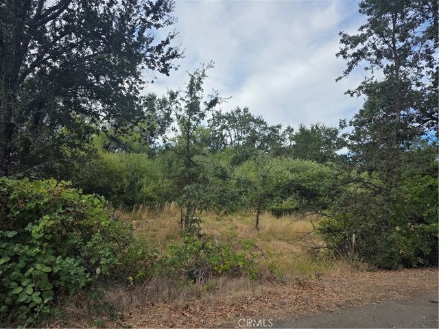 1233 Berry, Lakeport