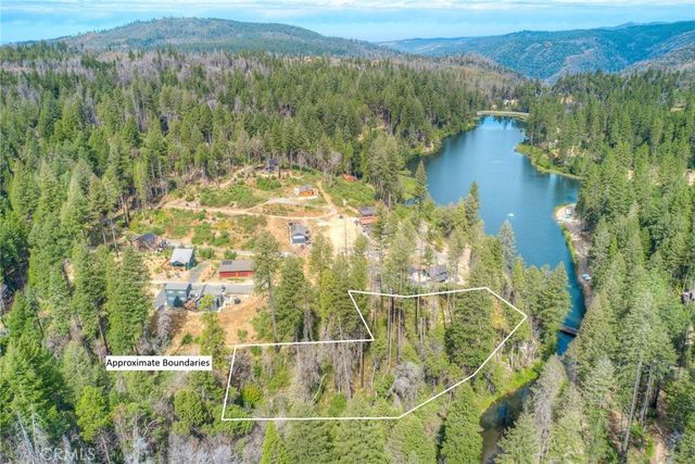 11 Dryad, Berry Creek