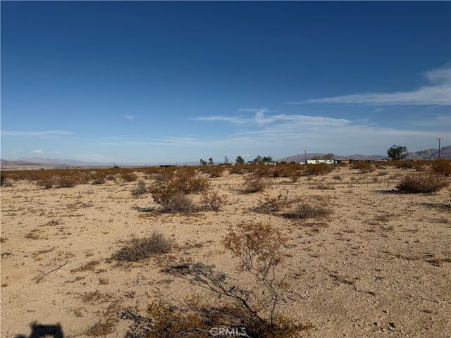 Pampas, 29 Palms