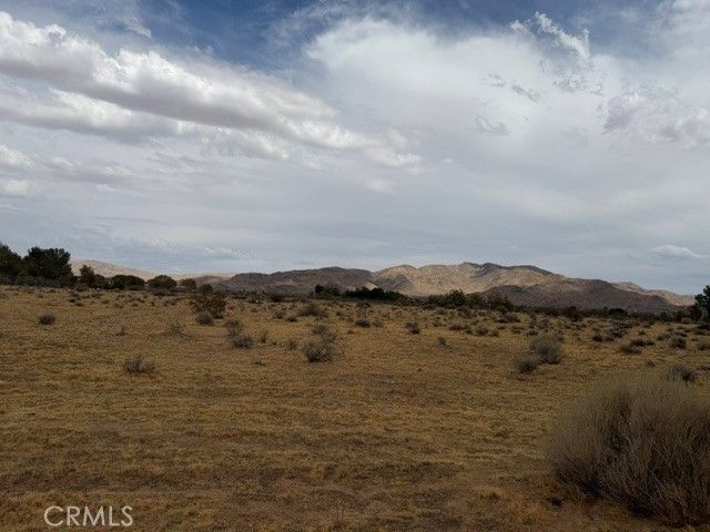 Shirwan, Apple Valley