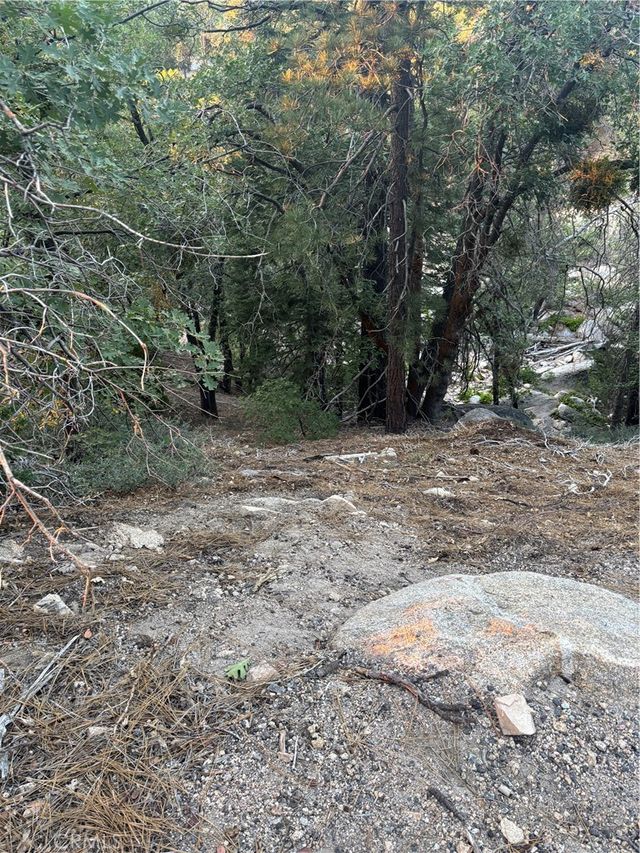 Ridge Dr, Running Springs