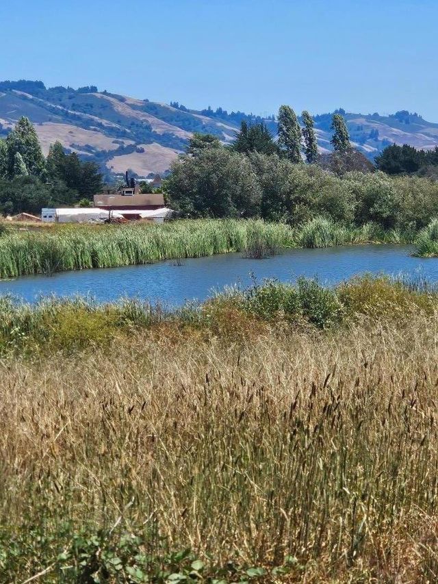 N/A, Watsonville