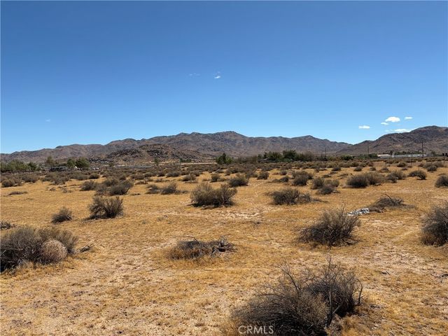 Joshua Road, Apple Valley