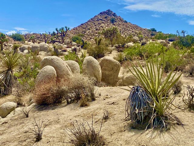 104 Bandera Road, Yucca Valley