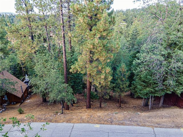 43326 Shasta Road, Big Bear