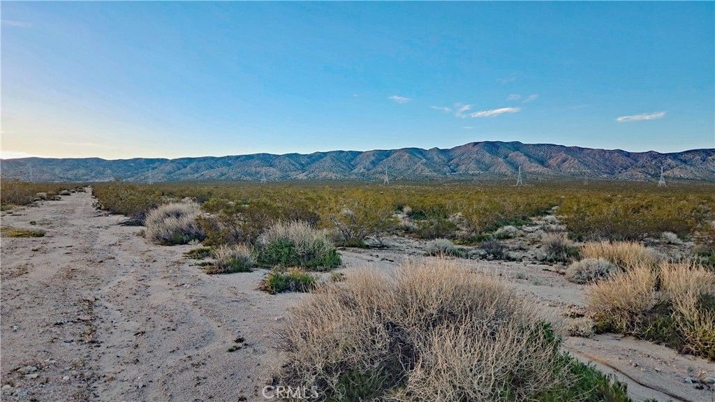 Rose Ave, Mojave