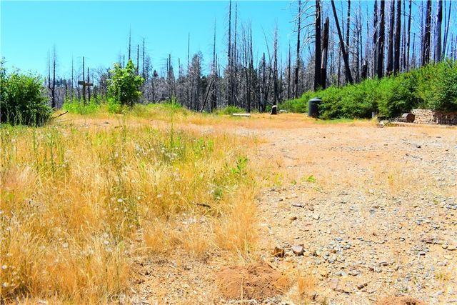 461 Milsap Bar, Berry Creek