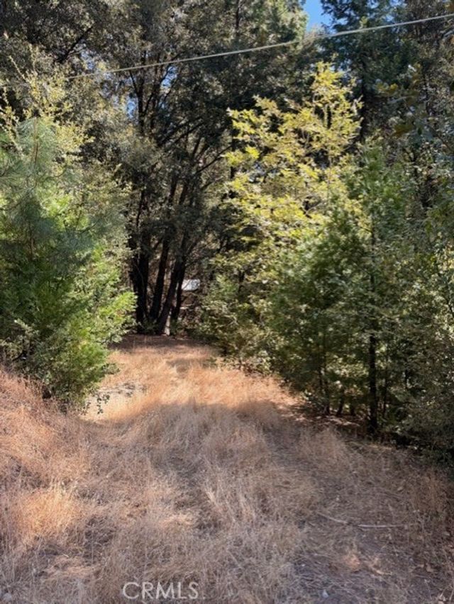 S Cedar Ridge, Oakhurst