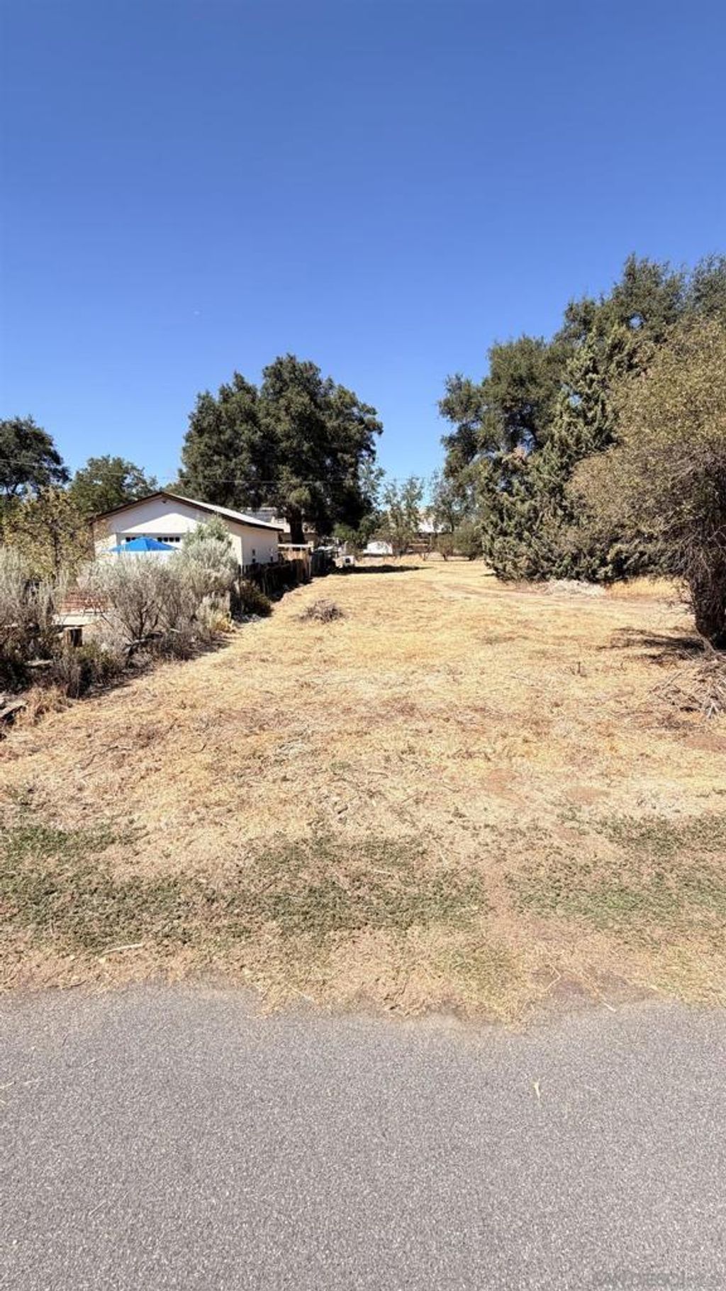 Laurel Dr., Campo