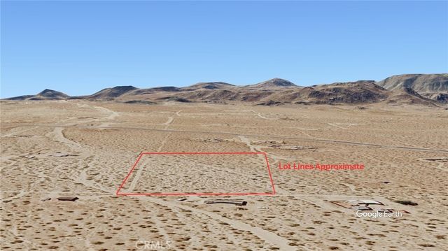 Manzanita, Johnson Valley
