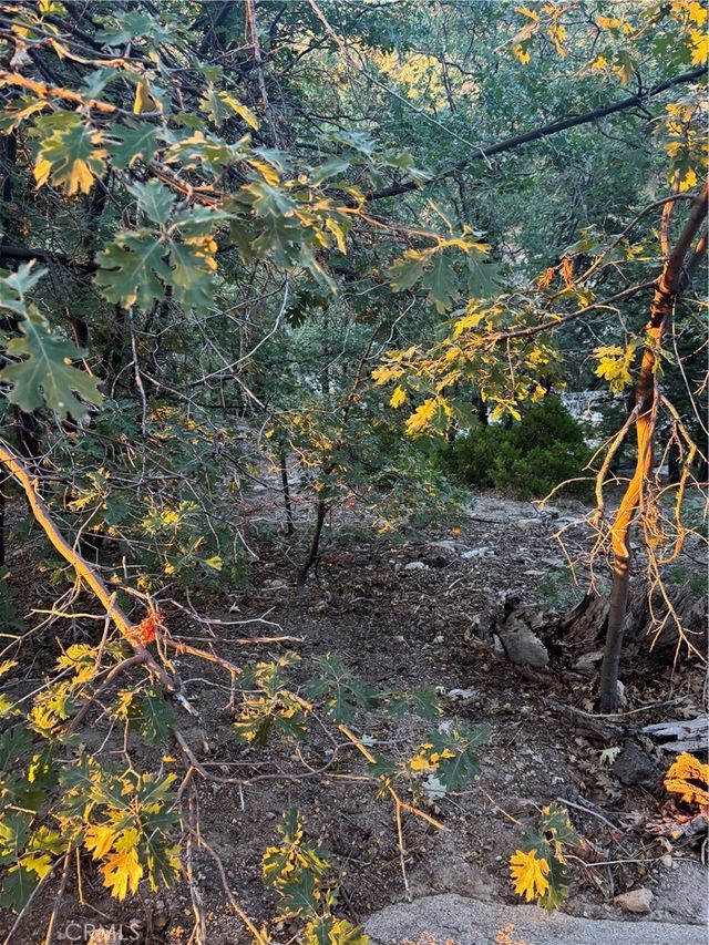 1 Crest Forest, Cedarpines Park