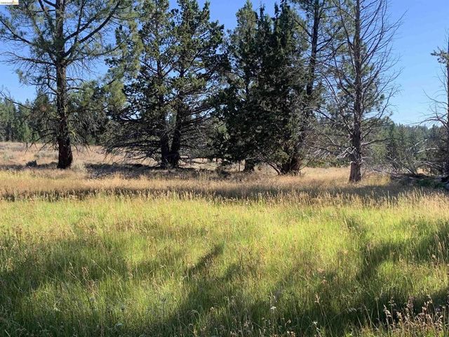 N/A, Susanville