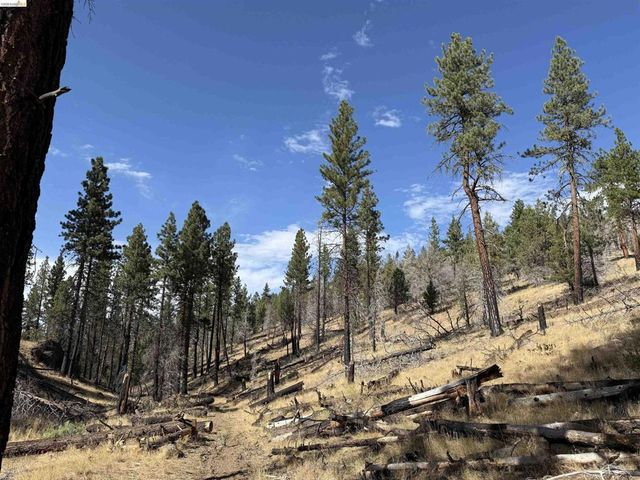 00000 Butte Creek Rd, Susanville
