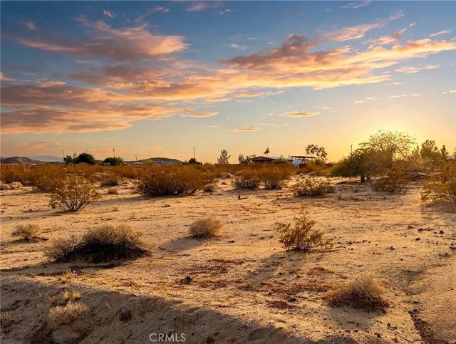 Mile Square Rd, Joshua Tree