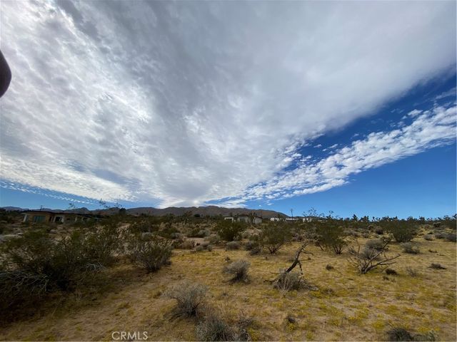 Saddleback Road, Joshua Tree