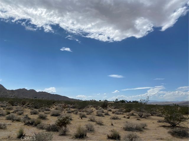 California Avenue, Joshua Tree