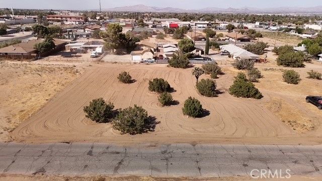 Olive, Hesperia