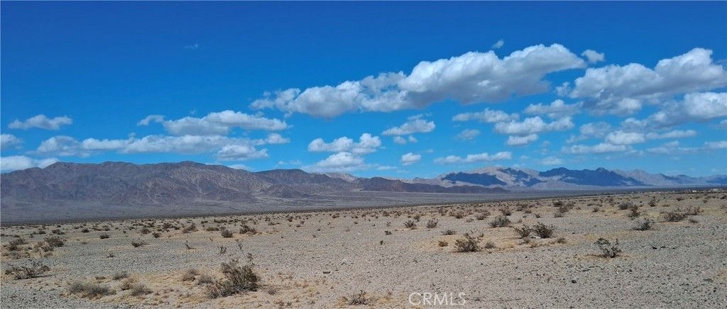 101 Screech Owl Road, 29 Palms
