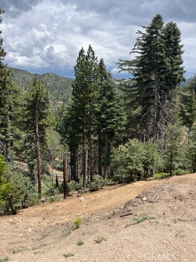 2349 Deep Creek, Running Springs