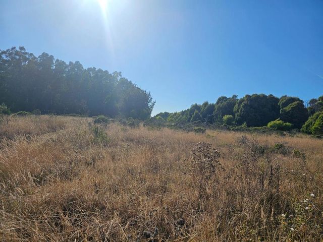 N/A, Half Moon Bay