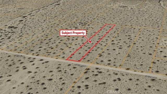 1 Hollinger, Joshua Tree