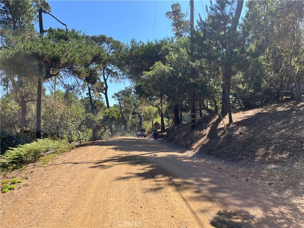 1840 Fern Drive, Cambria