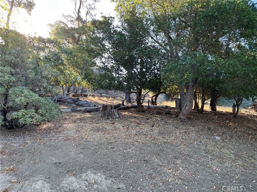 1670 Burton Drive, Cambria