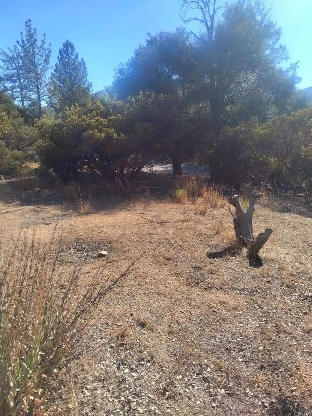 Valley View Trail, Pine Valley