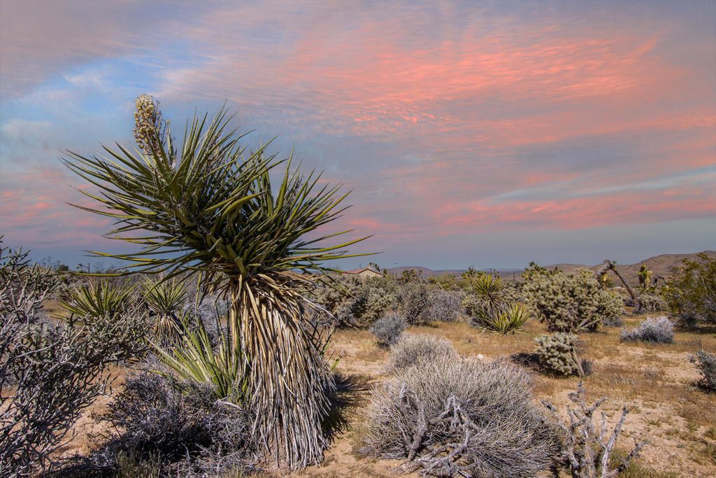 102 Saddleback Road, Joshua Tree