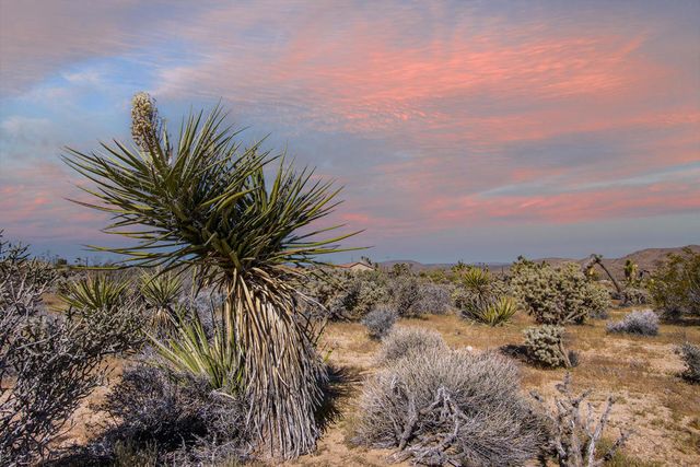 102 Saddleback Road, Joshua Tree