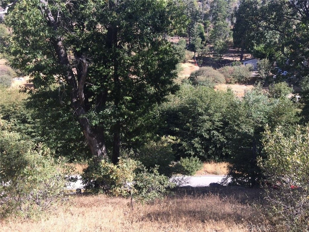 29749 Redwood, Cedar Glen