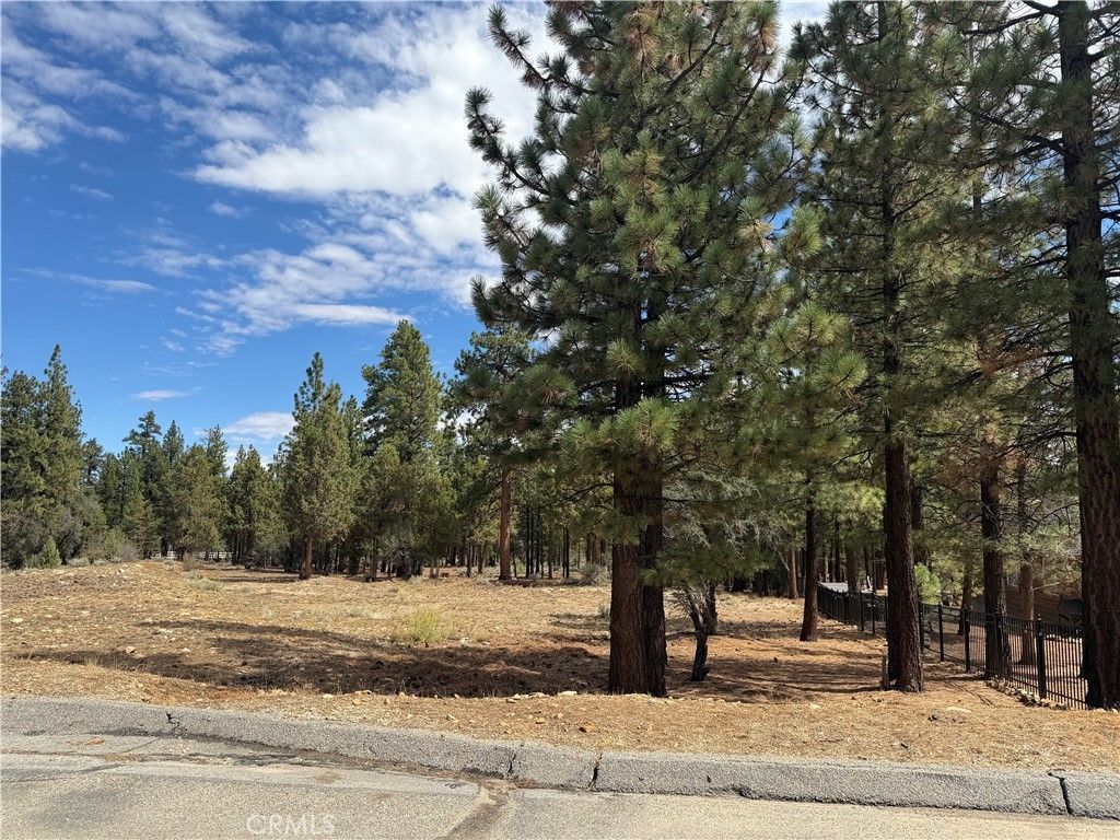 Alderwood, Big Bear