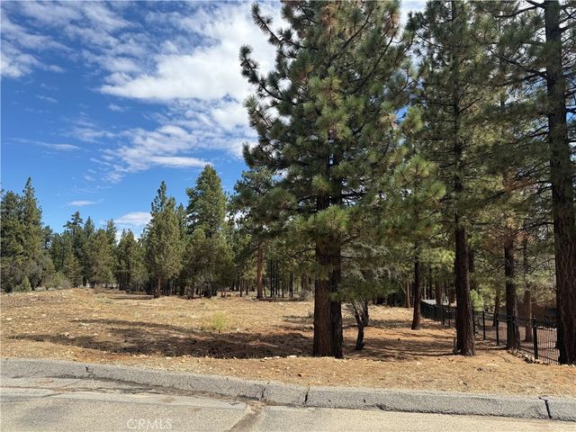 Alderwood, Big Bear