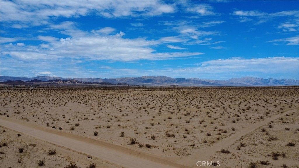 5281 Cactus Jack, 29 Palms
