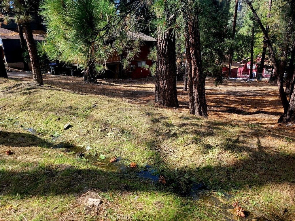 Laura, Wrightwood