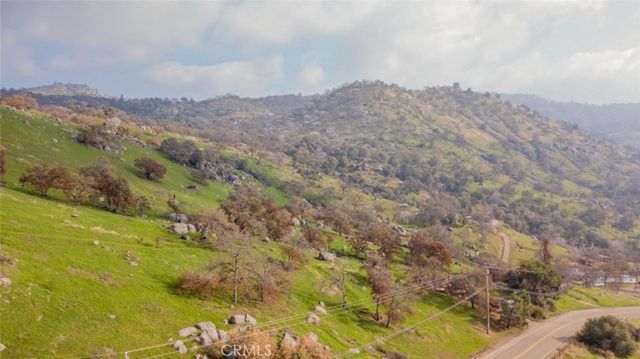 38938 Pepperweed Rd, Squaw Valley