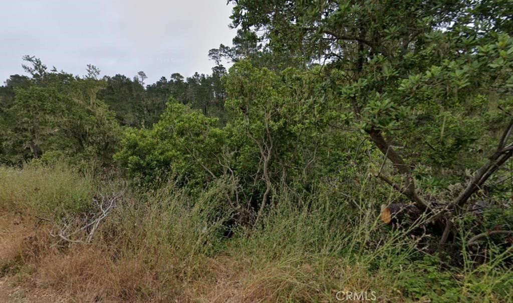 2977 Ramsey Road, Cambria