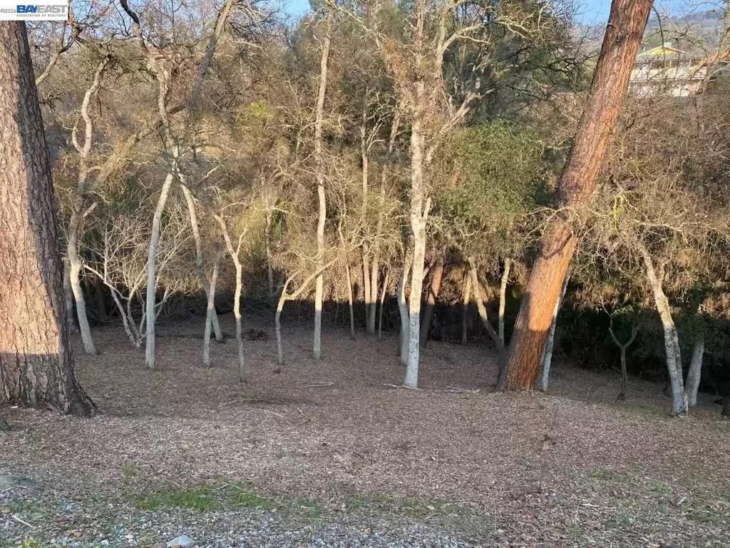 103 Thomson Lane, Copperopolis