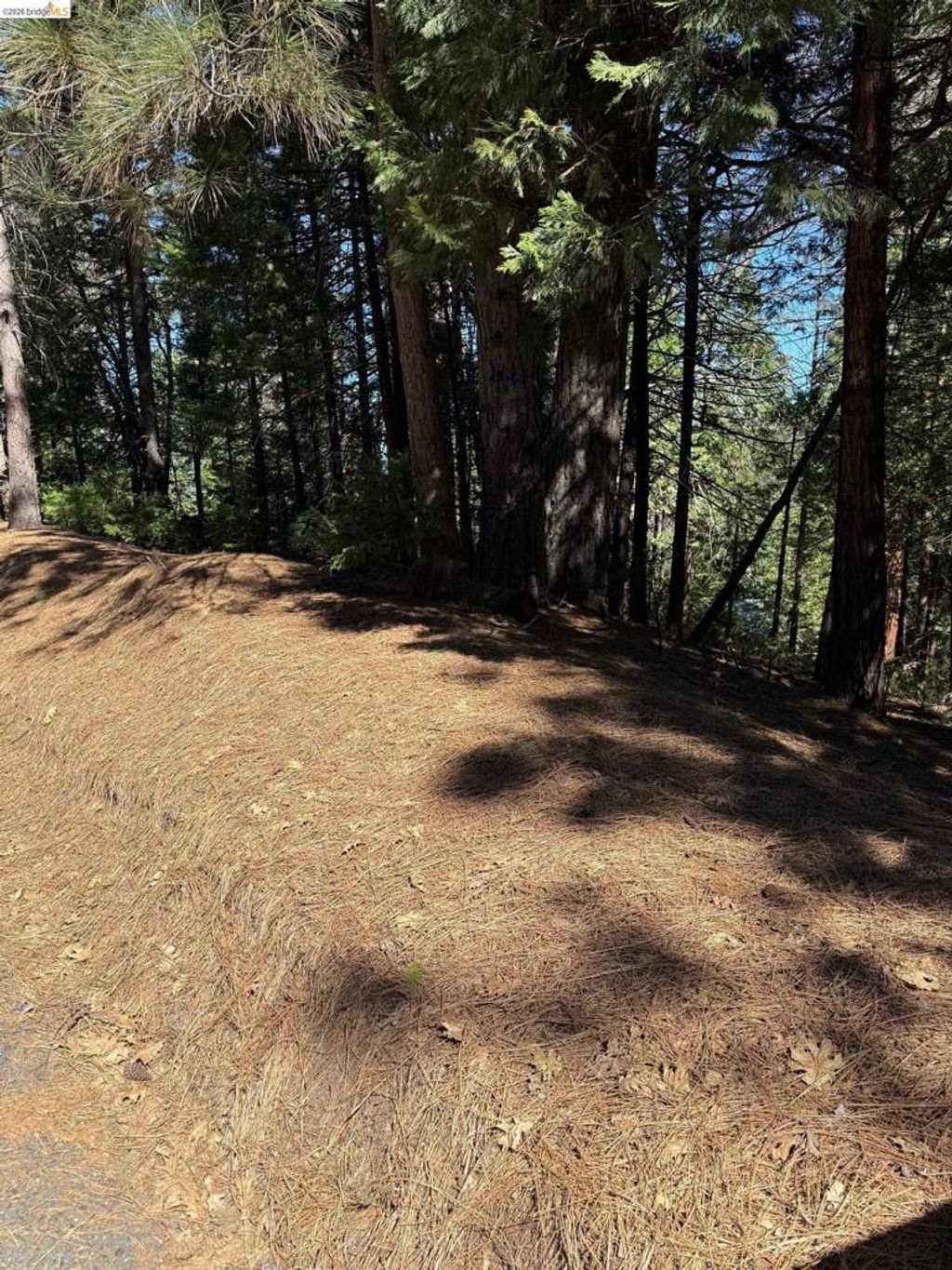 000 Lot 498 Oxbow Lane N, Sonora
