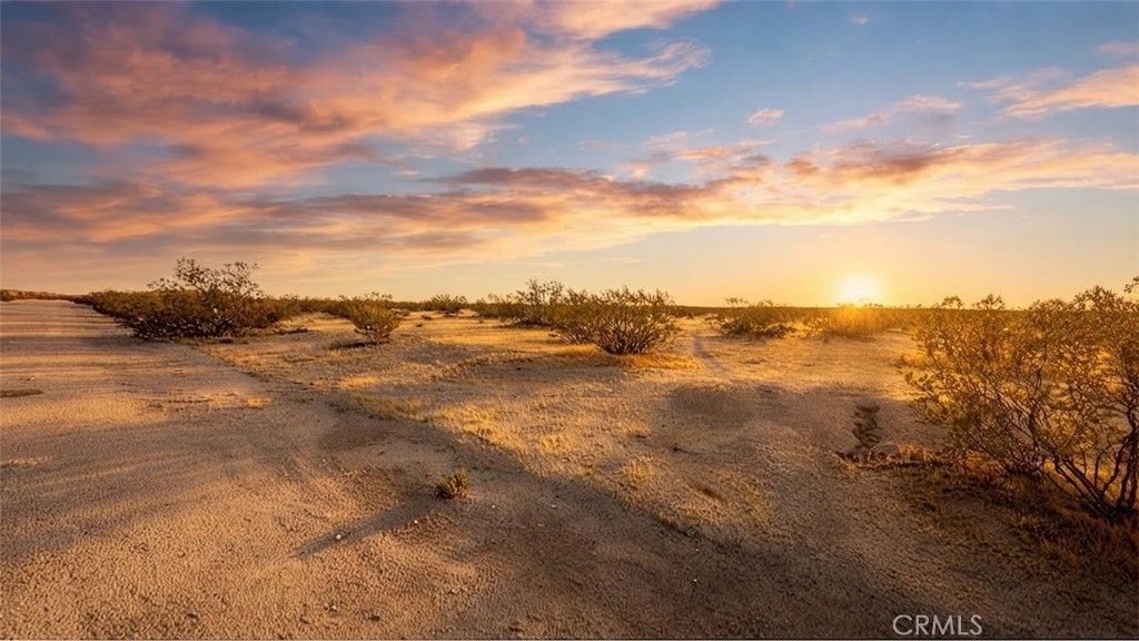 Penny Lane, California City