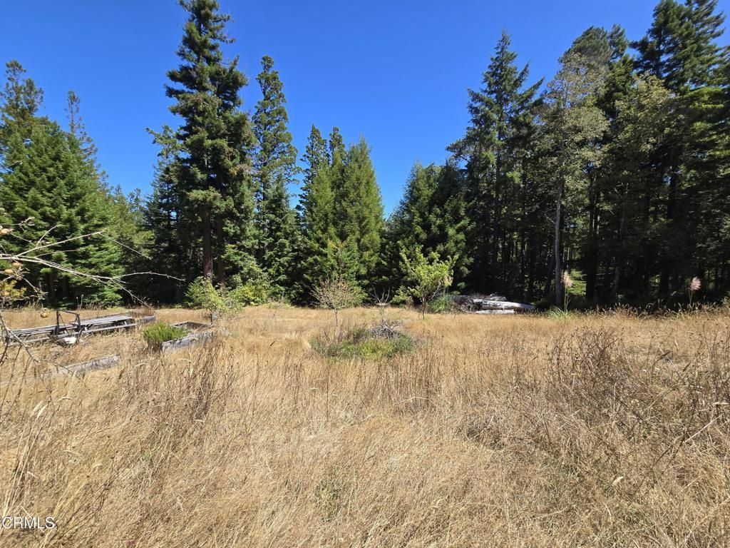 40741 Garcia River Road, Point Arena