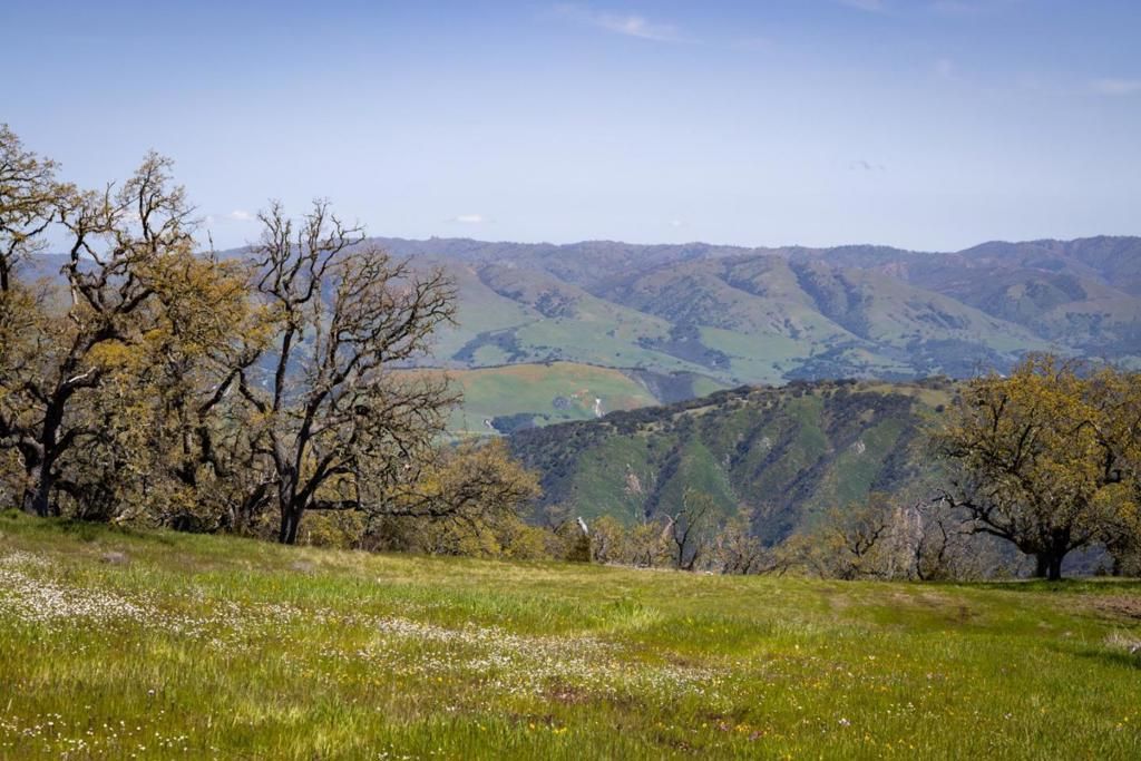 26 Long Ridge Trail, Carmel