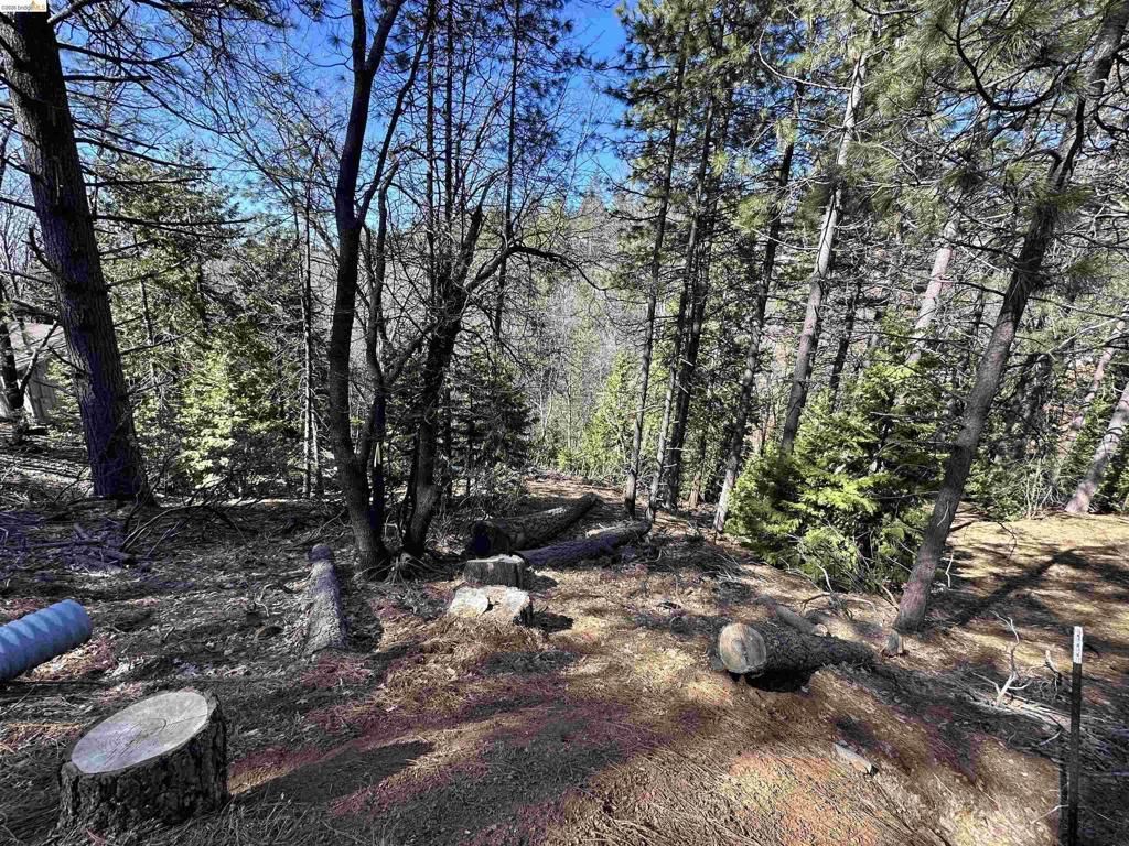 23956 Stable Rd, Sonora