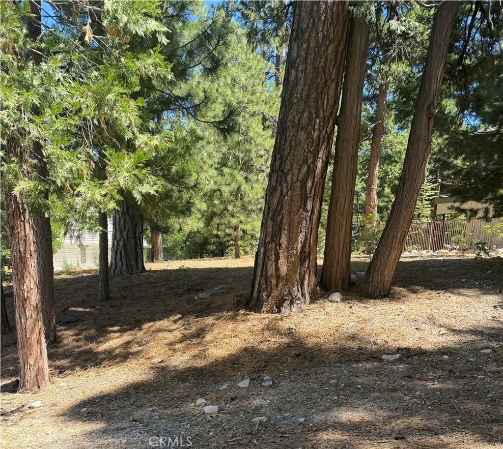 27586 Meadow Bay, Lake Arrowhead