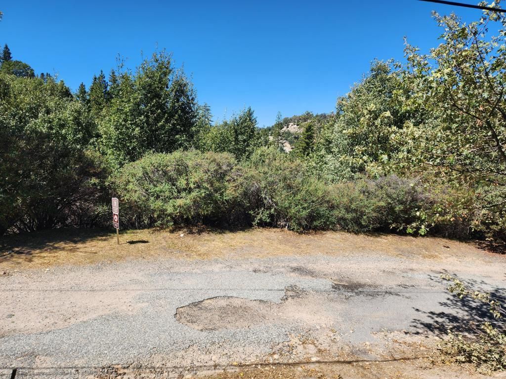 522 Elder Drive, Cedar Glen